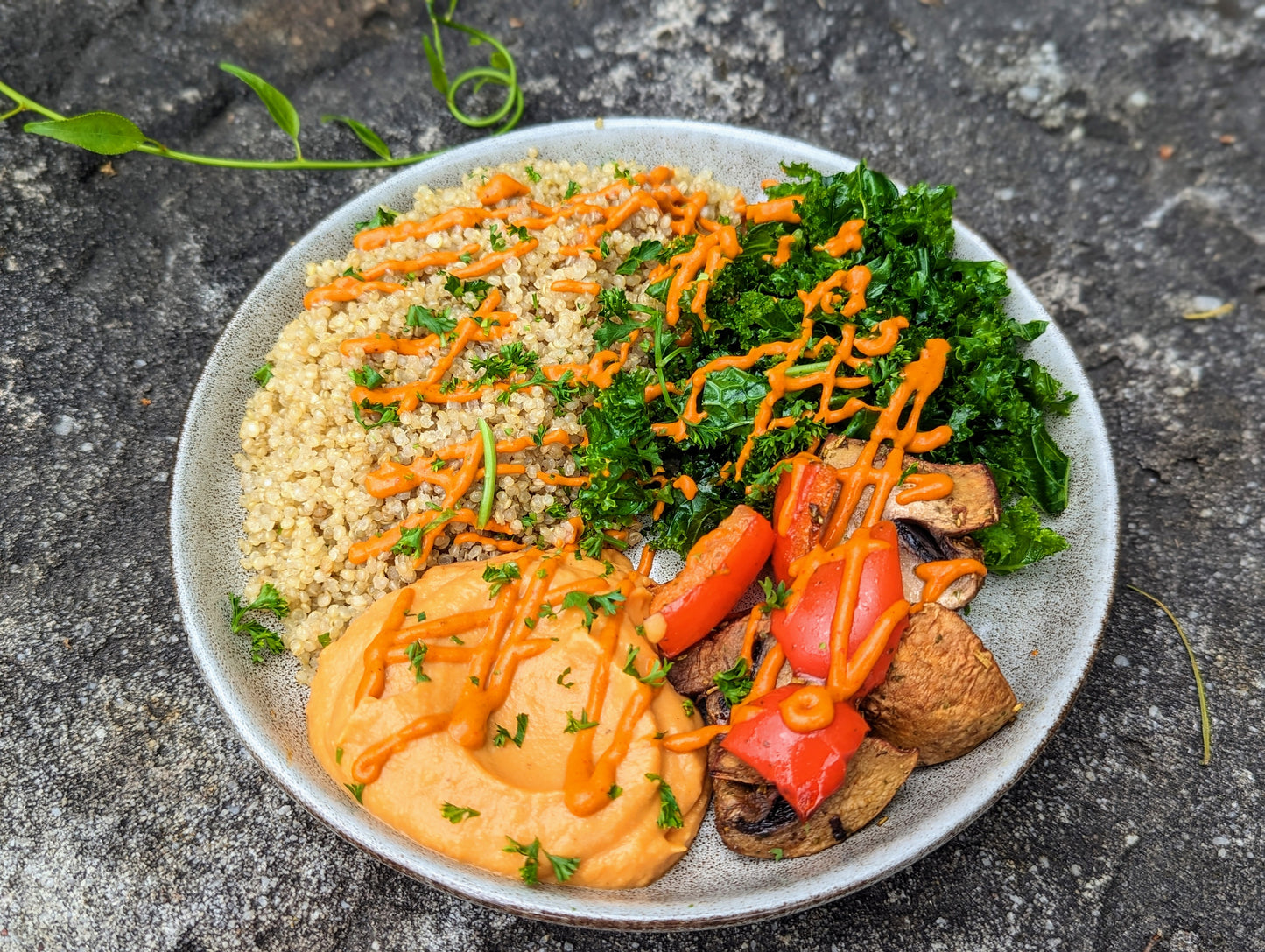 Hummus Quinoa Bowl