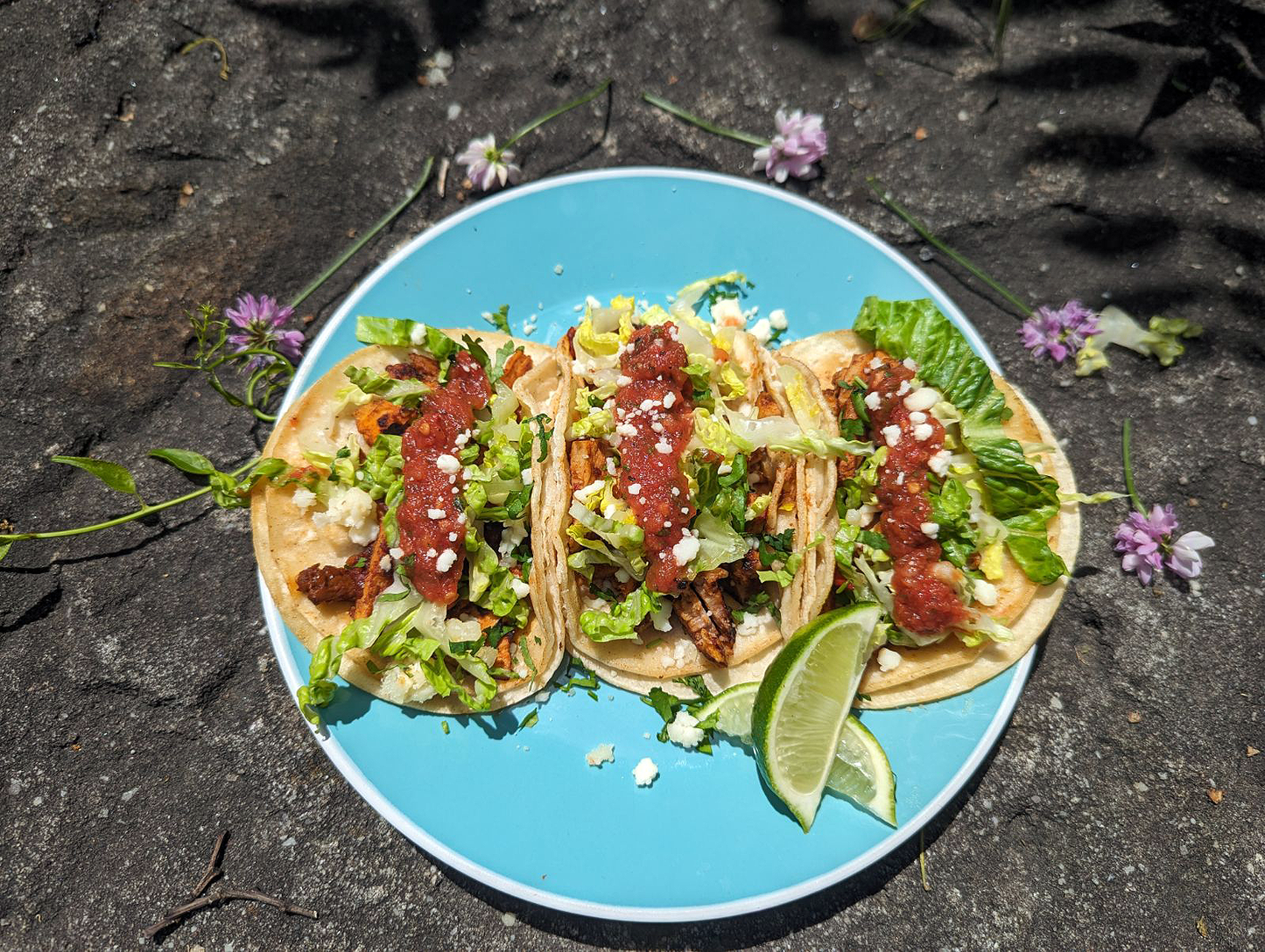 Chipotle Chicken Tacos